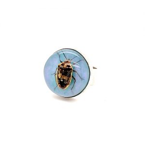 Sterling Silver Wide Band Style Ring w/ Beetle in Resin