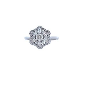 14K White Gold .20CT RBC Centre Multi Diamond Floral Cluster Style Ring